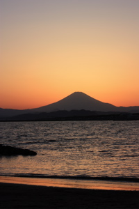 a0048361_5262760.jpg