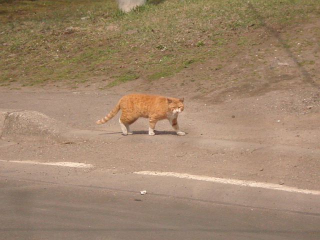 f0132565_73737100.jpg