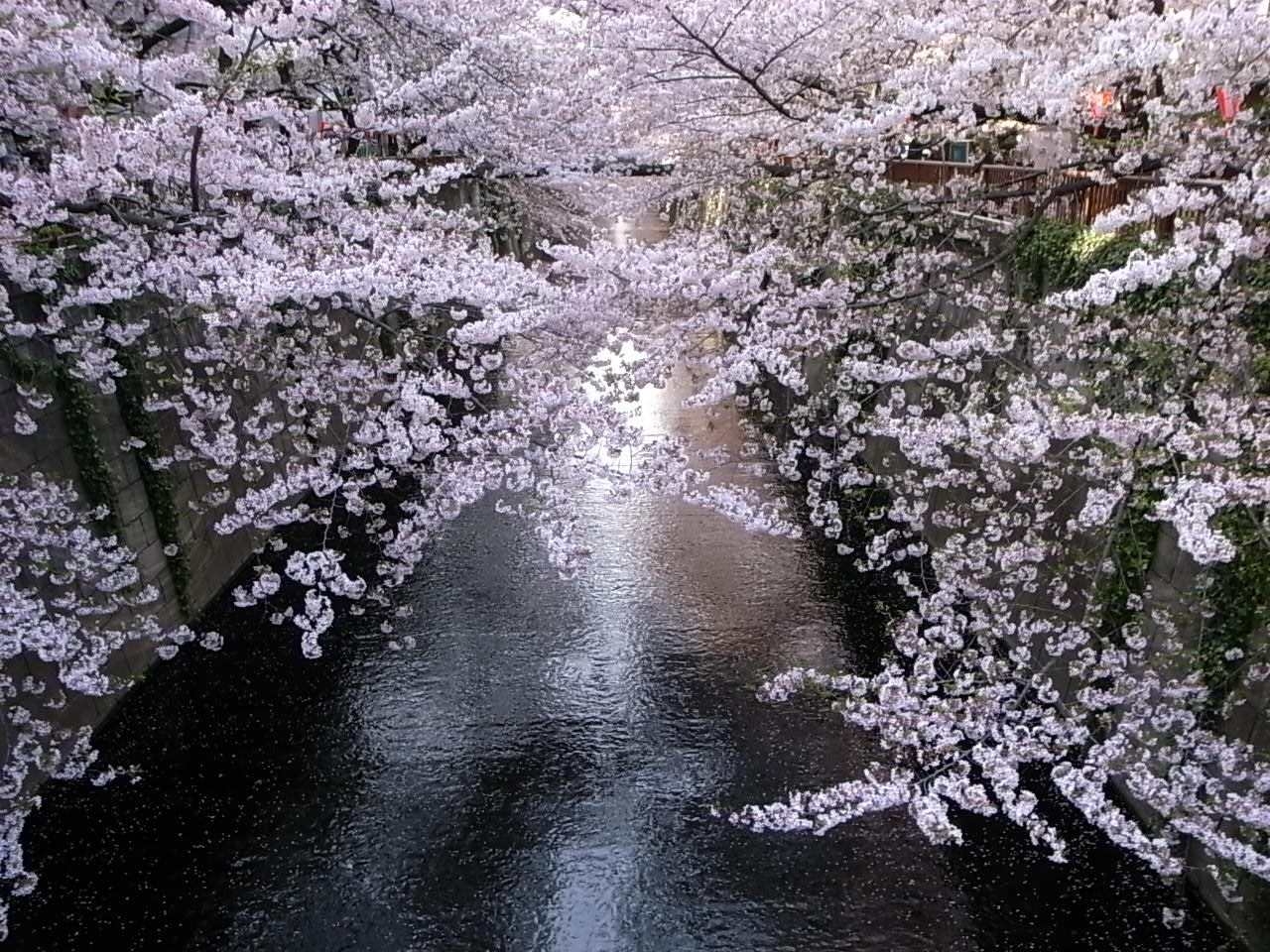 a0049167_2064962.jpg