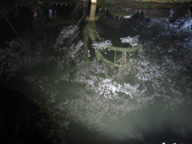 d0094868_23272219.jpg