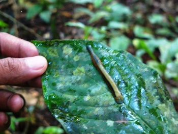 e0066369_16153368.jpg