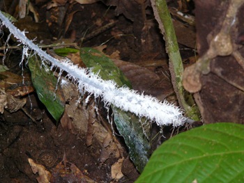 e0066369_16192195.jpg