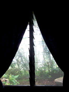 e0066369_1621233.jpg