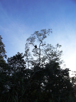 e0066369_1623583.jpg
