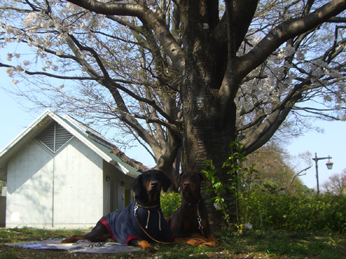 f0025769_15552029.jpg