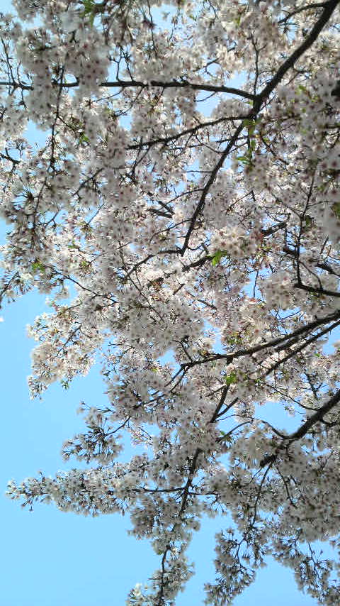 b0034072_19511986.jpg