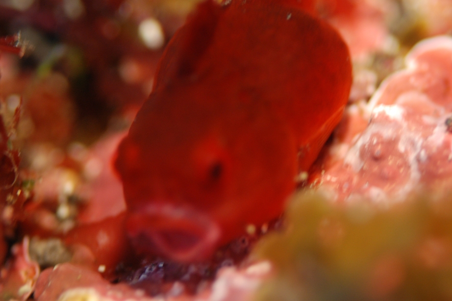 c0181073_2254127.jpg