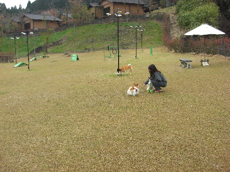 d0116578_1144924.jpg