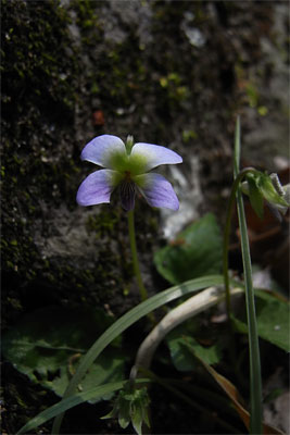 c0152779_21373343.jpg