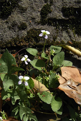 c0152779_2137536.jpg