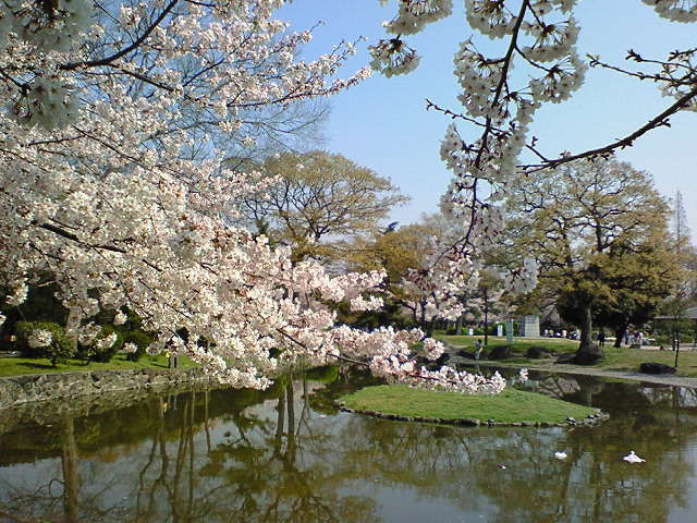f0043780_18102166.jpg
