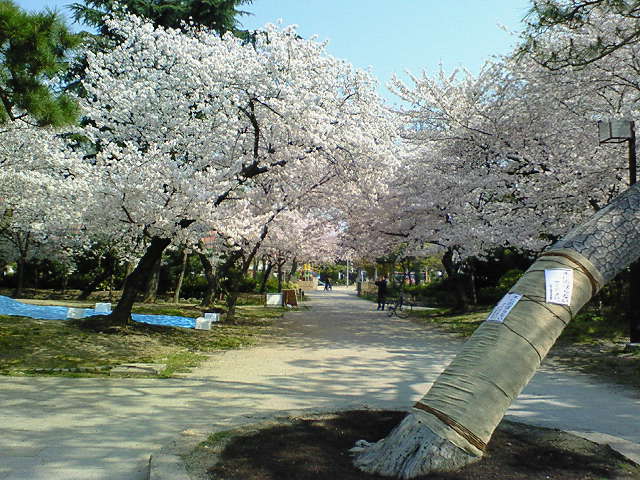 f0043780_18172539.jpg