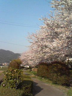 c0180581_1924753.jpg