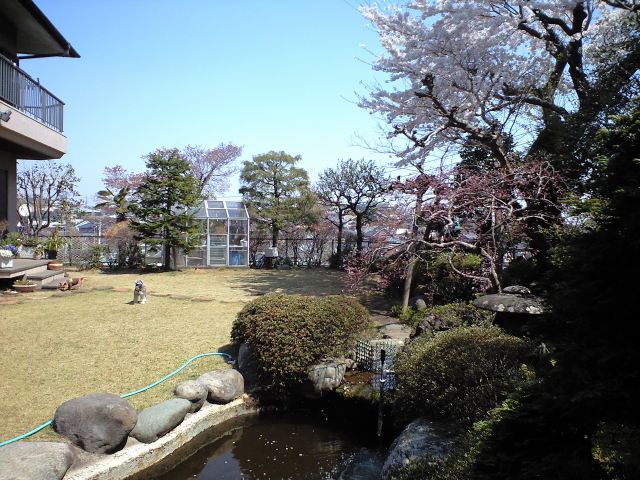c0183681_1617698.jpg