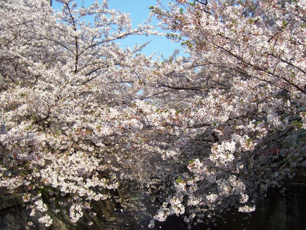 c0198781_1734369.jpg