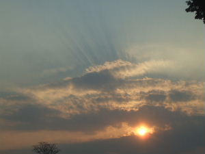 f0005081_21402947.jpg
