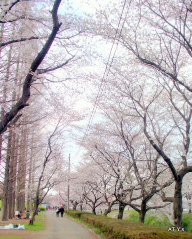 b0107483_12163792.jpg