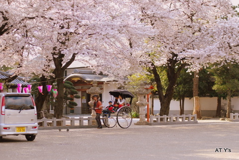 b0107483_1220675.jpg