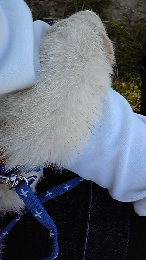 f0199484_17205226.jpg