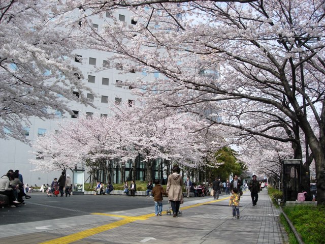 a0045688_1443398.jpg