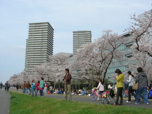 a0045688_1464679.jpg
