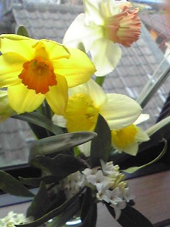 c0180788_18171910.jpg