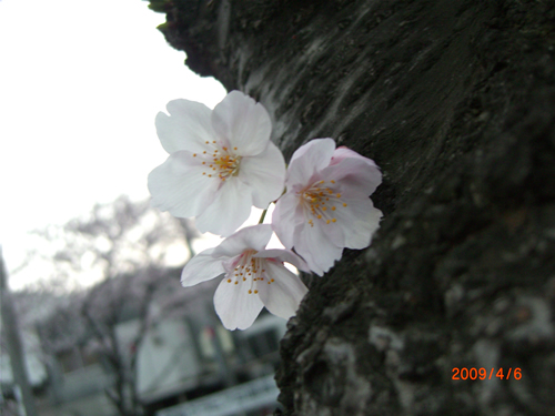 f0201488_9431325.jpg