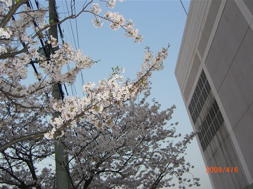 f0201488_9435257.jpg