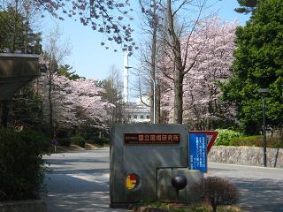 c0002089_232480.jpg