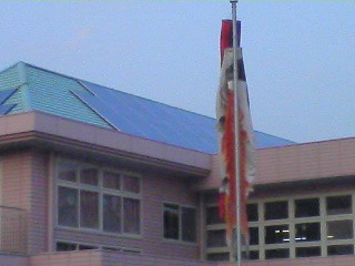 d0137890_1236790.jpg