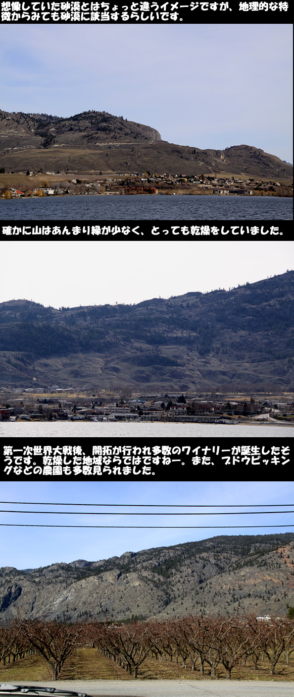 c0164491_4582485.jpg