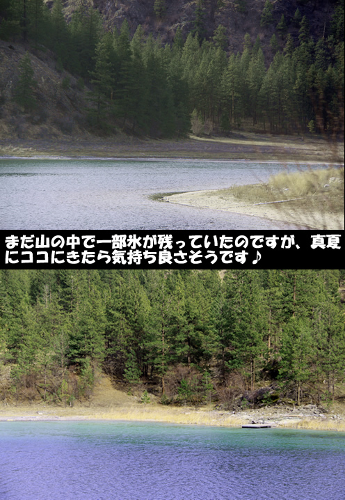 c0164491_5225479.jpg