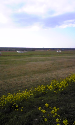 e0176191_0341789.jpg