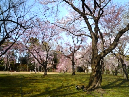 c0196992_812359.jpg