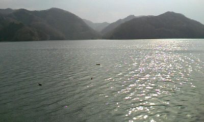 b0029694_20403645.jpg