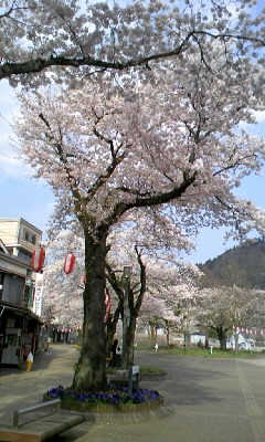 b0029694_20405654.jpg