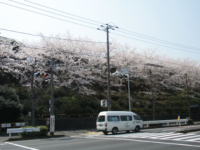 f0130894_223558.jpg