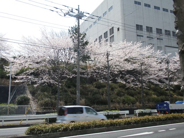 f0130894_2241155.jpg