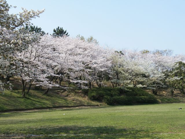 f0130894_2264697.jpg