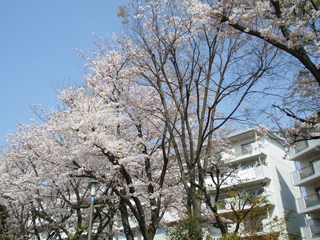f0130894_227488.jpg