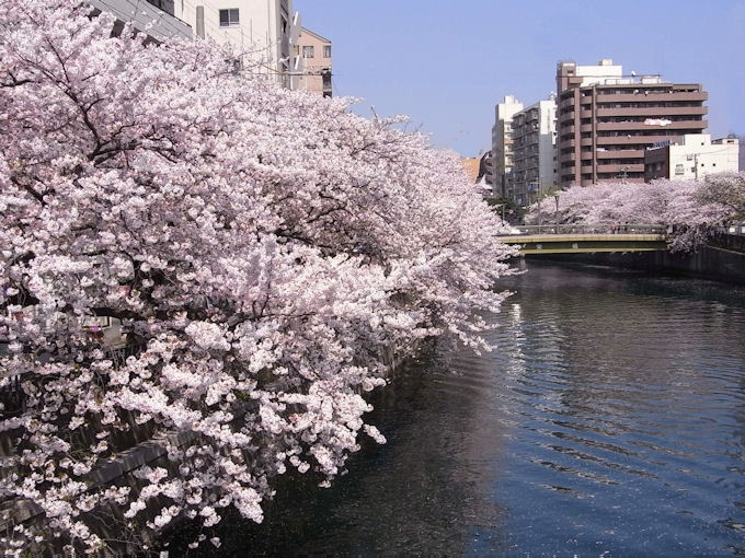 c0061695_22502842.jpg