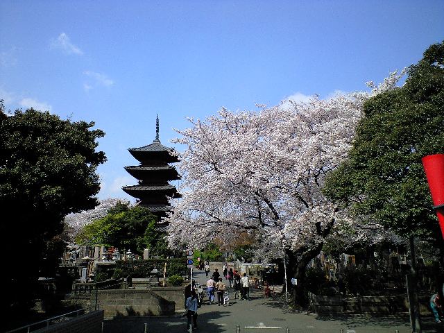 f0042295_013018.jpg