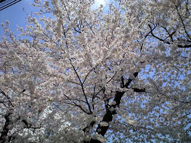 f0042295_013027.jpg