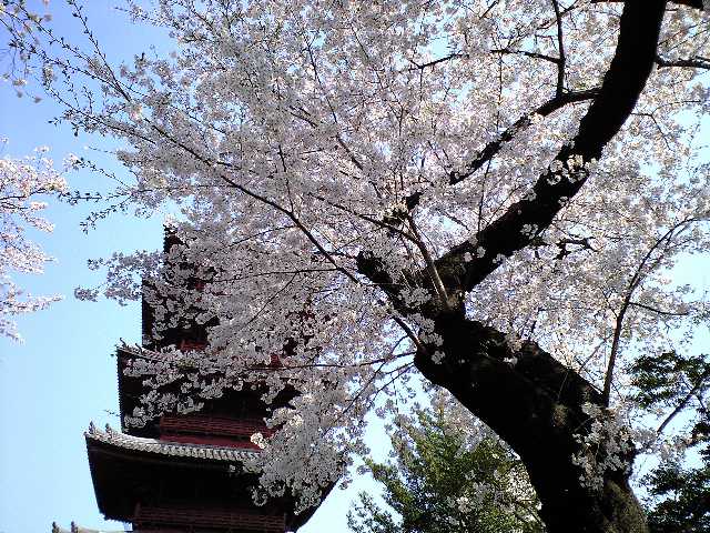 f0042295_013091.jpg