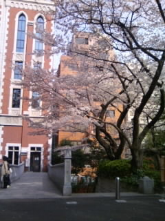 b0061596_9162443.jpg