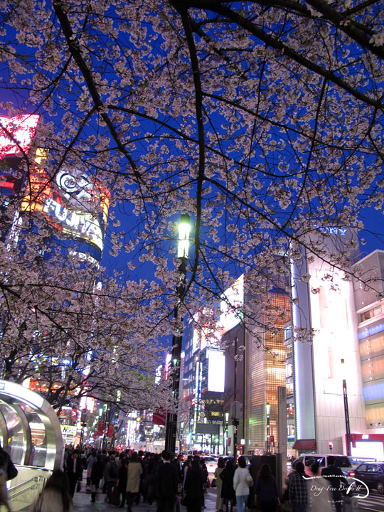 f0085599_23243581.jpg