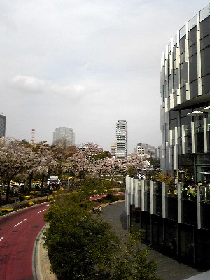 d0090800_1341646.jpg