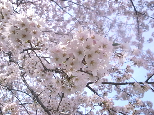 e0043700_23155455.jpg