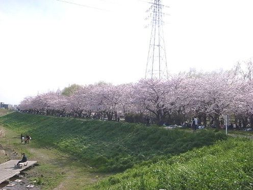 e0043700_23165141.jpg