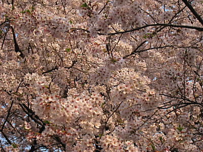 d0046702_19214529.jpg